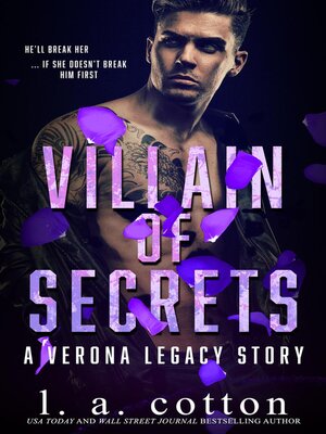 Villain of Secrets - ebook